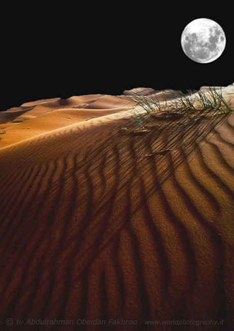 Desert the Qatar 